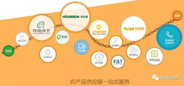 生鮮B2B旺火，為何“燒”不掉農貿市場？——網絡信息技術服務下的共生邏輯