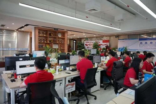 德永信集團品牌建設日 以閱兵精神賦能高質量注冊公司代辦服務